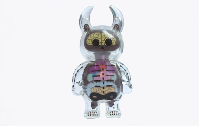 Anatomy Skull Uamou
