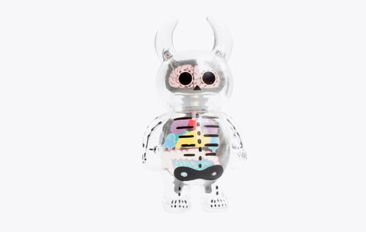 Anatomy Skull Uamou