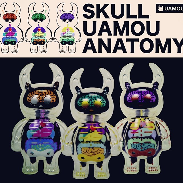 スカルウアモウ解剖模型！！ SKULL UAMOU ANATOMY ヤマシロヤにて本日より販売開始！！ http://www.e-yamashiroya.com/f/5f/uamou/ana-s/index.html