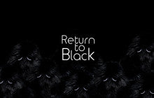 RETURN TO BLACK: MR. NOBODY