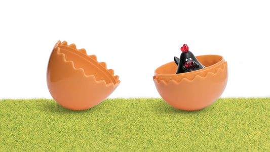 BLACK CHICKEN BOO HATCHED!