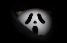 NAUTS: GHOST UAMOU SERIES