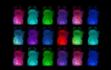 LED FORTUNE UAMOU EXCLUSIVE !