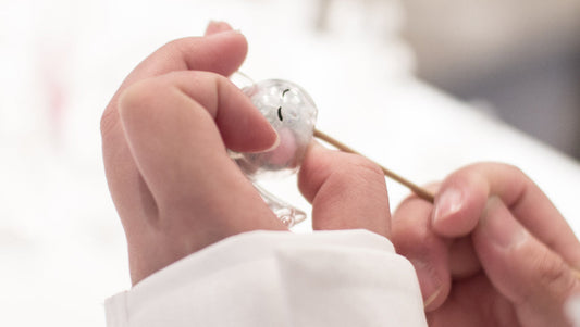 UAMOU WORKSHOP AT ICHINOICHI!