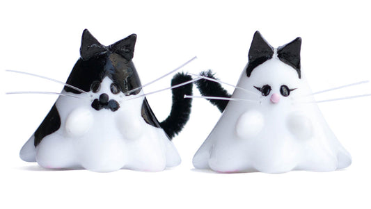 CAT BOO NEEDS A FOSTER!